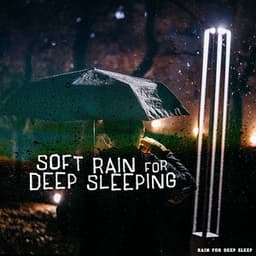 Soft Rain for Deep Sleeping - Rain for Deep Sleep