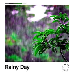Rainy Day - Rain Meditations