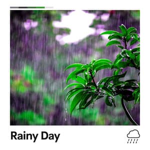 Rainy Day - Rain Meditations