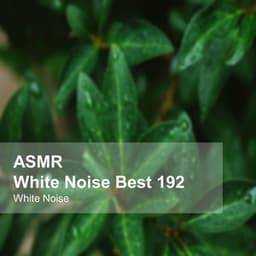White Noise ASMR Best 192 - White Noise