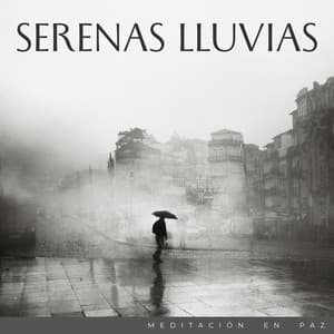 Serenas Lluvias: Meditación En Paz - Relajación Lluvia Meditación