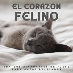 El Corazón Felino: Sonidos Binaurales De Fuego Para Gatos Relajados - Fuego Ambiental