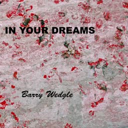 In Your Dreams - Barry Wedgle