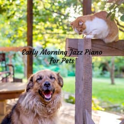 Early Morning Jazz Piano for Pets - Jazz Pets Relax