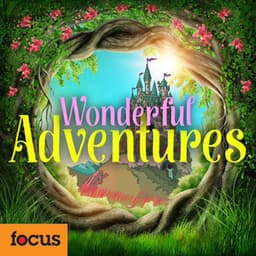 Wonderful Adventures - Adam Saunders