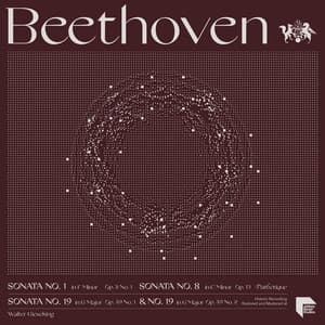 Beethoven: Sonatas No. 1 in F Minor, Op. 2 No. 1, No. 8 in C Minor, Op. 13 "Pathètique", No. 19 in G Minor, Op. 49 No.1 & No. 20 in G Major, Op. 49 No. 2 - Ludwig van Beethoven