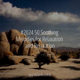 #2024 50 Soothing Melodies for Relaxation and Relaxation - Yoga Namaste