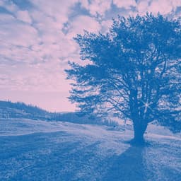 New Age Music with Spoken Words - Music for Deep Relaxation - Water Ambience