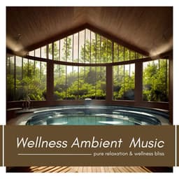 Wellness Ambient Music: Premium Chillout Sounds for Pure Relaxation & Wellness Bliss - Spa Ensemble