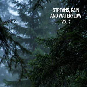 Streams, Rain and Waterflow, Vol. 7 - The Rain Library