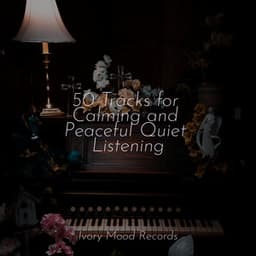 50 Tracks for Calming and Peaceful Quiet Listening - Baby Lullaby