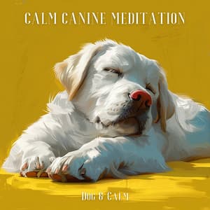 Calm Canine Meditation - Dog & Calm