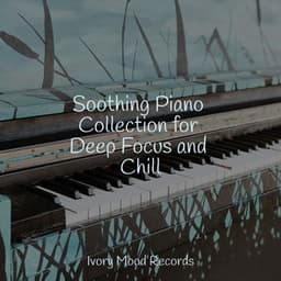 Soothing Piano Collection for Deep Focus and Chill - Ambiente