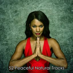 52 Peaceful Natural Tracks - Spiritual Fitness Music