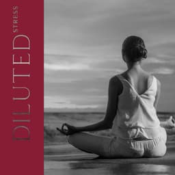 Diluted Stress - Beth Souls