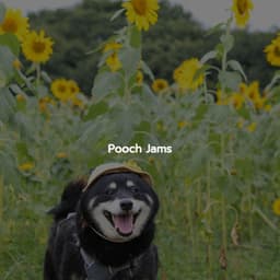 Pooch Jams - Playlist Musica para Estudiar