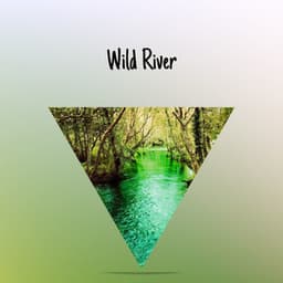 Wild River - River Sounds Collective
