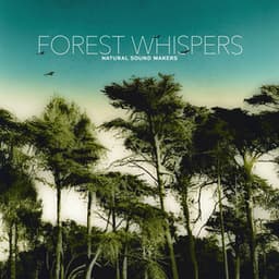 Forest Whispers - Natural Sound Makers