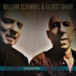 Interpolations - William Schimmel