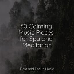 50 Calming Music Pieces for Spa and Meditation - Anxiety Relief