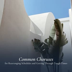 Common Choruses for Rearranging Schedules and Getting Through Tough Times - White Noise Atmospheres