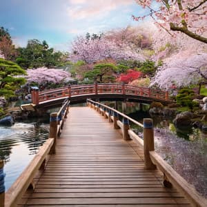 Ritmos Lofi Relajantes: Música Tranquila Para Relajarse - Ritmos suaves y serenos