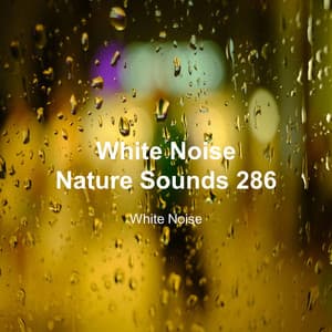 White Noise 286 - White Noise