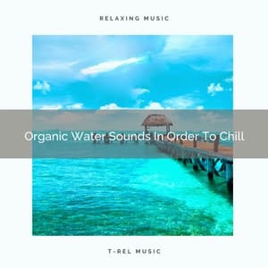 Organic Water Sounds In Order To Chill - Sleep Lab