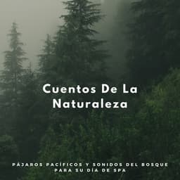 Cuentos De La Naturaleza: Pájaros Pacíficos Y Sonidos Del Bosque Para Su Día De Spa - Sonidos Naturales del Pajaro