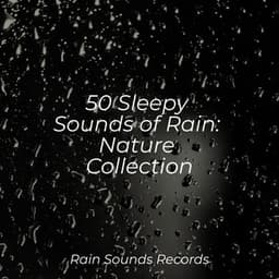 50 Sleepy Sounds of Rain: Nature Collection - Sons da Natureza