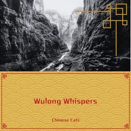 Wulong Whispers: Chinese Instrumentals for a Peaceful Café Experience - Chinese Café