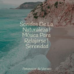 Sonidos De La Naturaleza | Música Para Relajarse | Serenidad - Meditación Interna