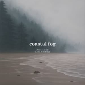 Coastal Fog - Mark Siddhi