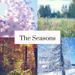 The Seasons - Pyotr Ilyich Tchaikovsky