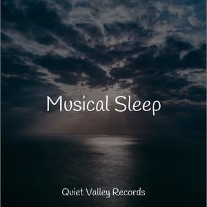Musical Sleep - Ambient Rain