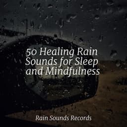 50 Healing Rain Sounds for Sleep and Mindfulness - Natureza
