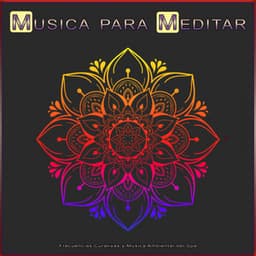 Musica para Meditar: Frecuencias Curativas y Música Ambiental del Spa - Musica para Meditar