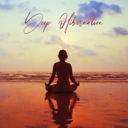 Deep Hibernation – Music that will Help You Reach a Higher Level in Meditation - Meditation Music Masters