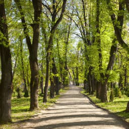 ! ! ! ! Timeless Beauty - Música Relajante