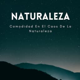 Comodidad En El Caos De La Naturaleza - Ruidos de la Naturaleza