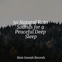 50 Natural Rain Sounds for a Peaceful Deep Sleep - Canción de Cuna