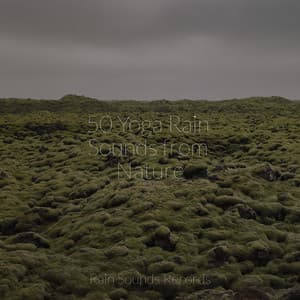 50 Yoga Rain Sounds from Nature - Relaxation