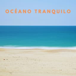 Contemplación De Marea: Sonidos Meditativos Del Océano Tranquilo - Sonidos De Oceano