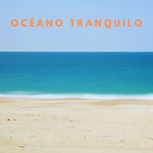 Contemplación De Marea: Sonidos Meditativos Del Océano Tranquilo - Sonidos De Oceano