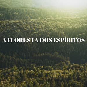 A Floresta Dos Espíritos - Dormir e Meditar
