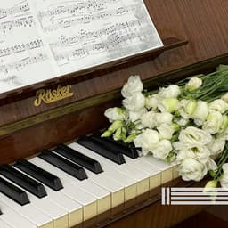 Sleeping Piano - Peaceful Piano Temple