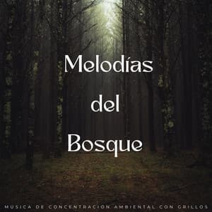 Melodías Del Bosque: Música De Concentración Ambiental Con Grillos - Naturaleza suena colaboración