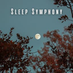 Sleep Symphony: Lofi Vibes for Dreamy Nights - Chill Hop Playlist