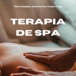 Vibras Relajadas: Ambiente Para Terapia De Spa - Música Para Aliviar El Estrés