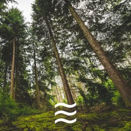 Schlafhilfe Regengeräusche - Einschlafhilfe